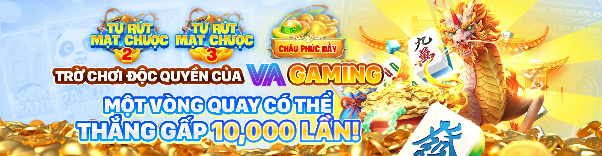 Hình ảnh đại diện Điều Khoản Dịch Vụ bl5555 code